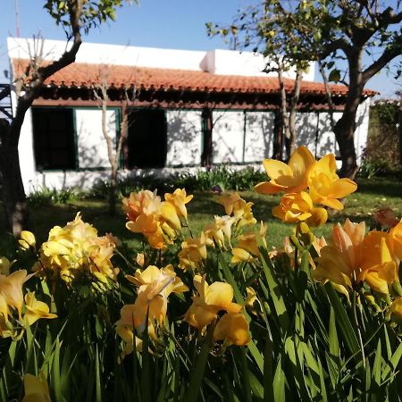 Casa Rural Limon Y Sol Sauzal Εξωτερικό φωτογραφία