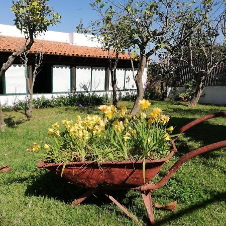 Casa Rural Limon Y Sol Sauzal Εξωτερικό φωτογραφία