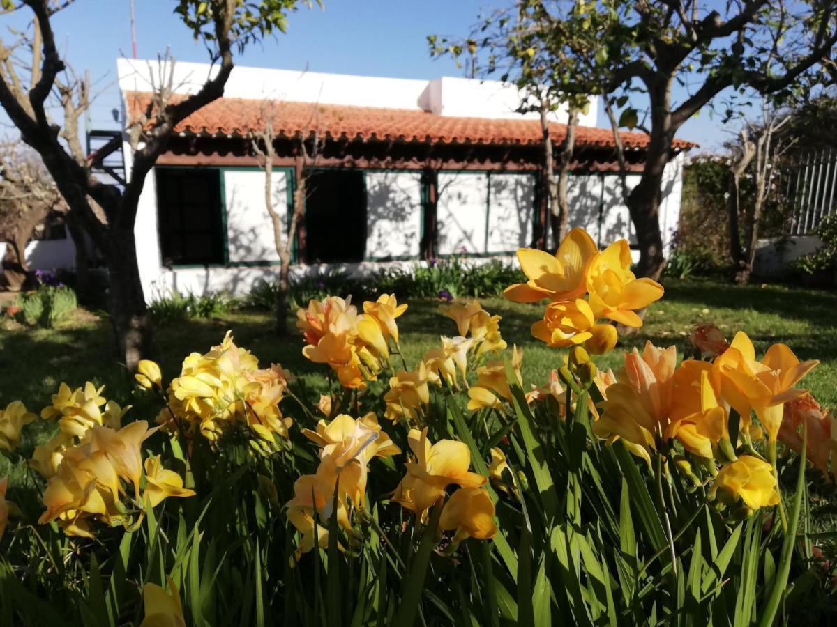 Casa Rural Limon Y Sol Sauzal Εξωτερικό φωτογραφία