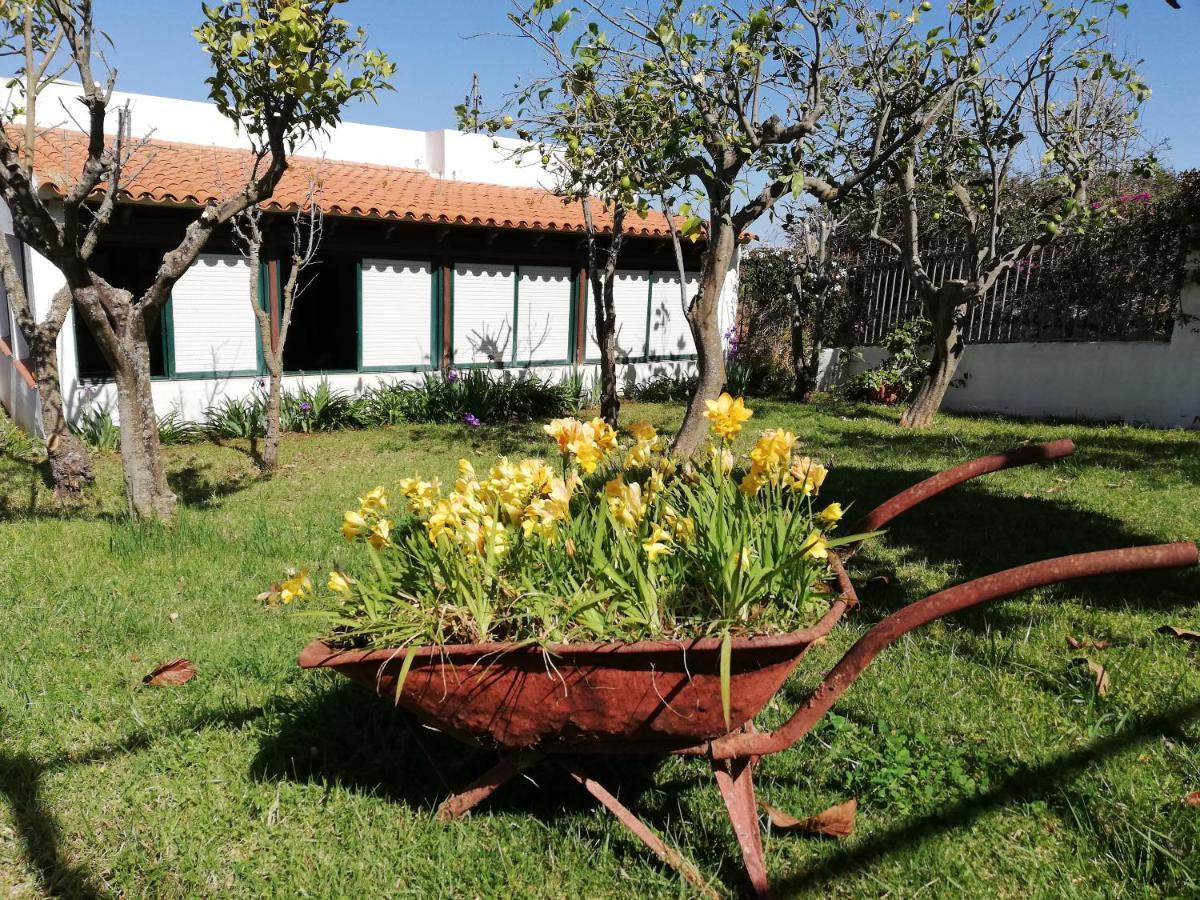 Casa Rural Limon Y Sol Sauzal Εξωτερικό φωτογραφία