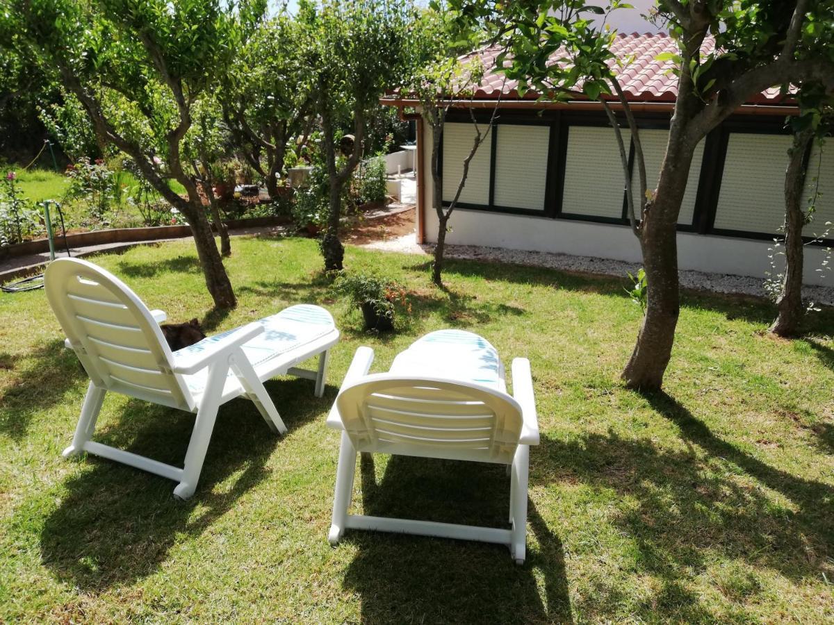 Casa Rural Limon Y Sol Sauzal Εξωτερικό φωτογραφία