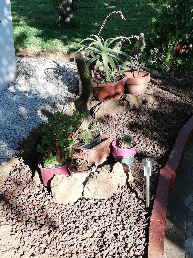 Casa Rural Limon Y Sol Sauzal Εξωτερικό φωτογραφία