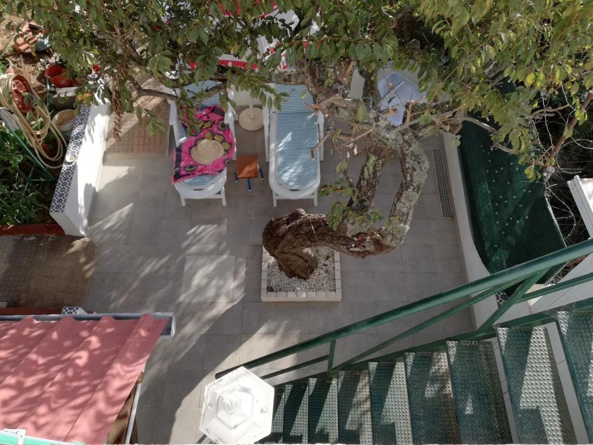 Casa Rural Limon Y Sol Sauzal Εξωτερικό φωτογραφία
