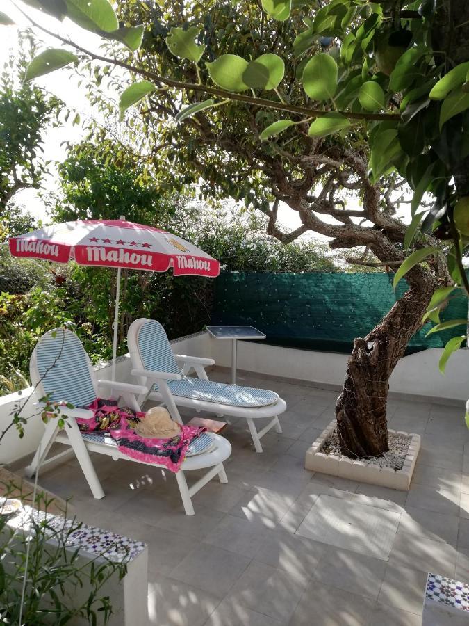 Casa Rural Limon Y Sol Sauzal Εξωτερικό φωτογραφία
