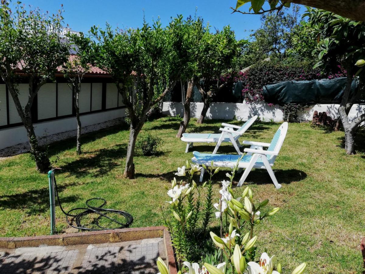 Casa Rural Limon Y Sol Sauzal Εξωτερικό φωτογραφία