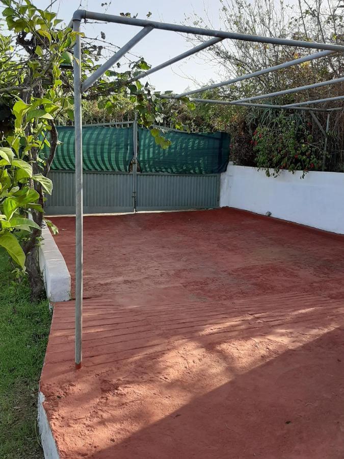 Casa Rural Limon Y Sol Sauzal Εξωτερικό φωτογραφία
