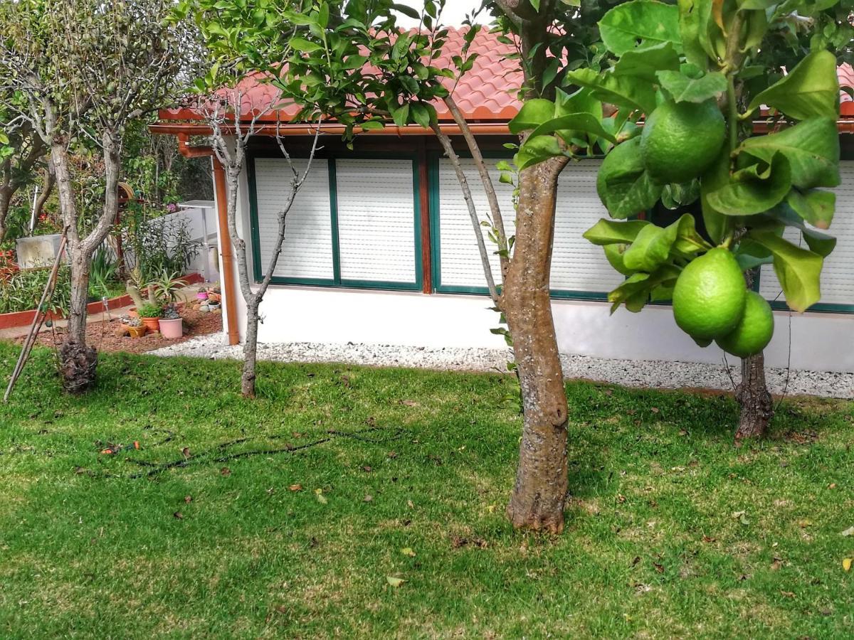 Casa Rural Limon Y Sol Sauzal Εξωτερικό φωτογραφία